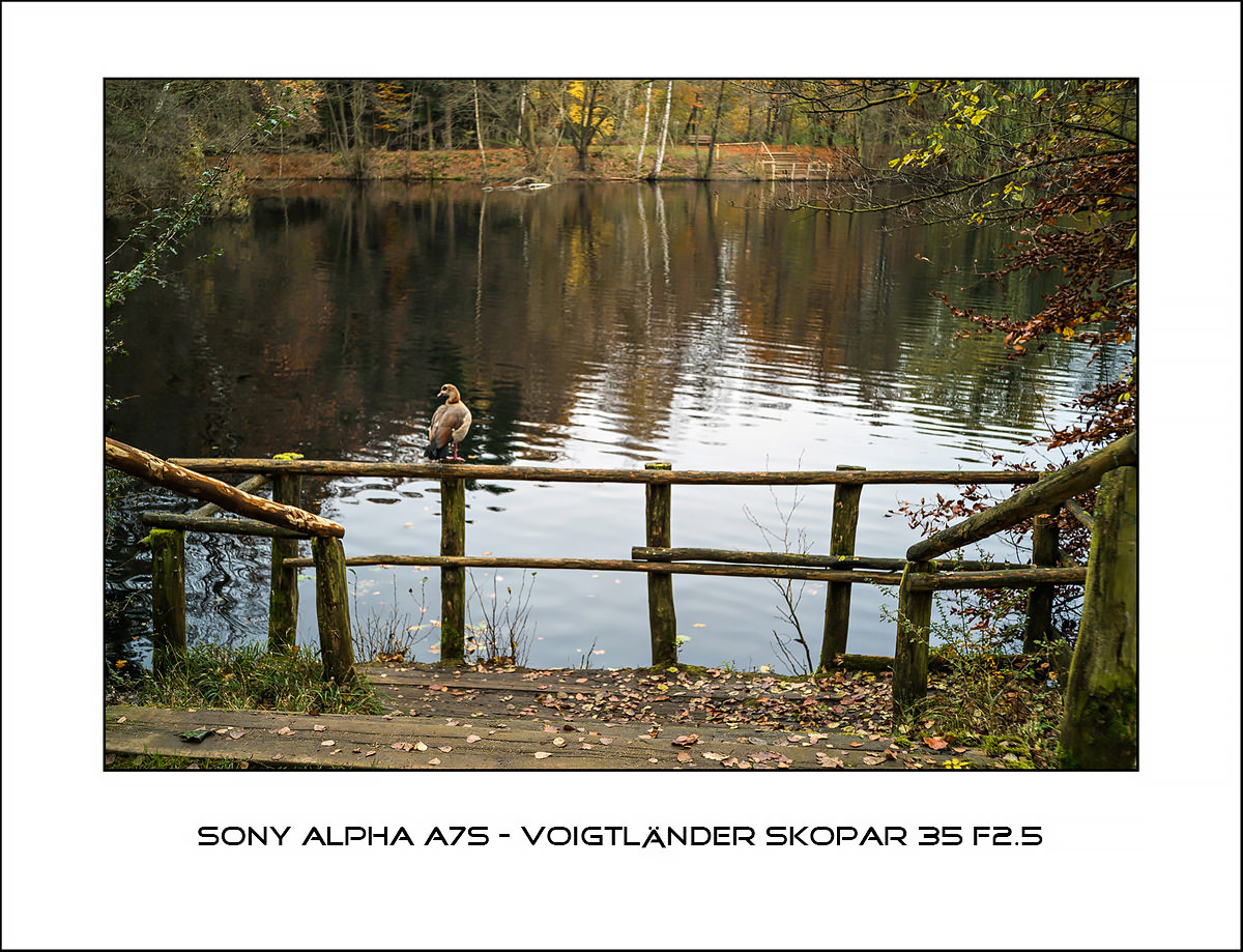 Sony Alpha A7s - Voigtlaender Skopar 35 f2.5