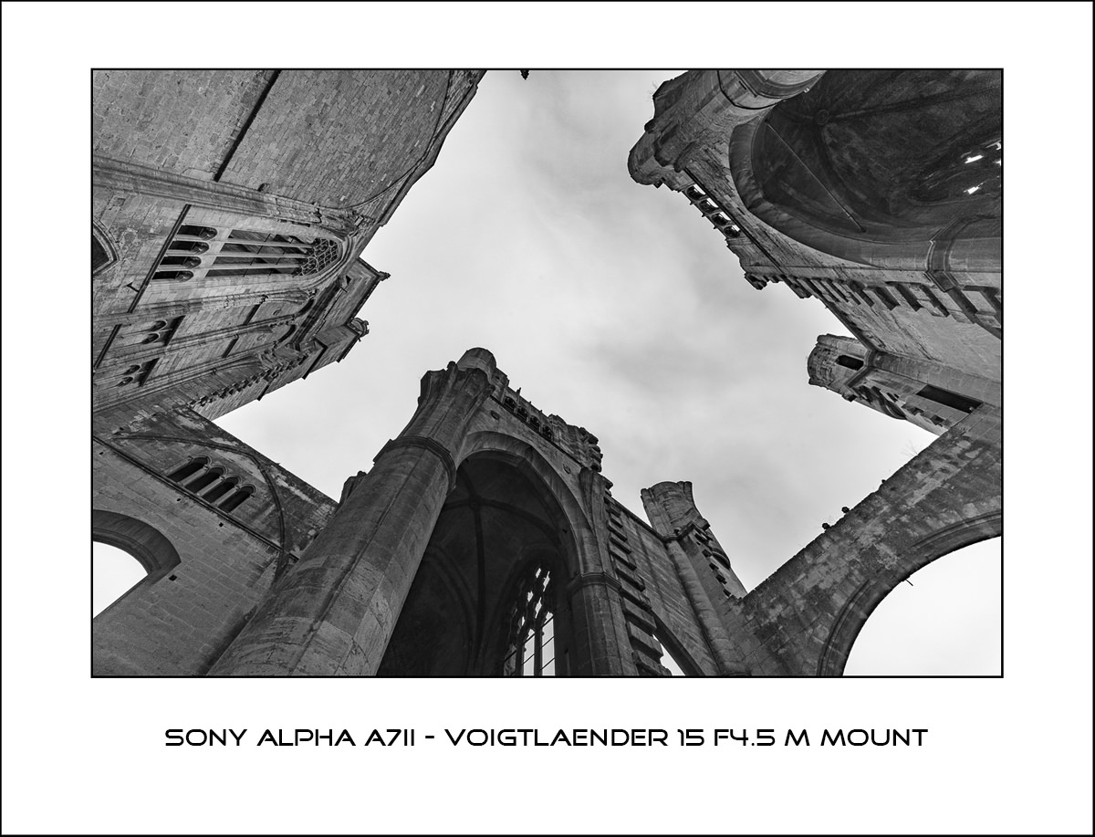 Sony Alpha A7II - Voigtlaender 15 f4.5 M Mount