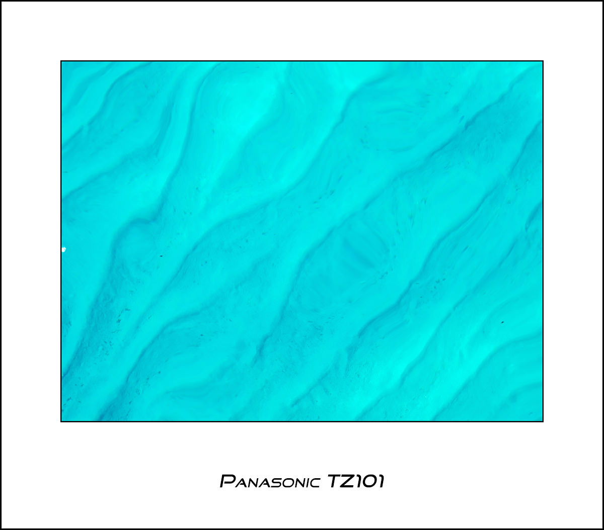 Panasonic TZ101
