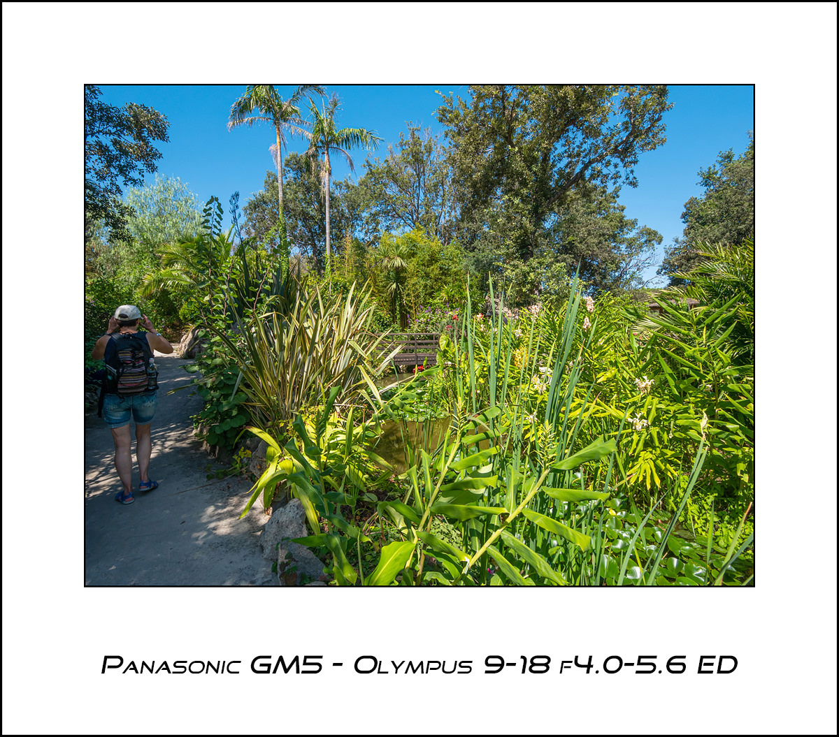 Panasonic GM5 - Olympus 9-18 f4.0-5.6 ED